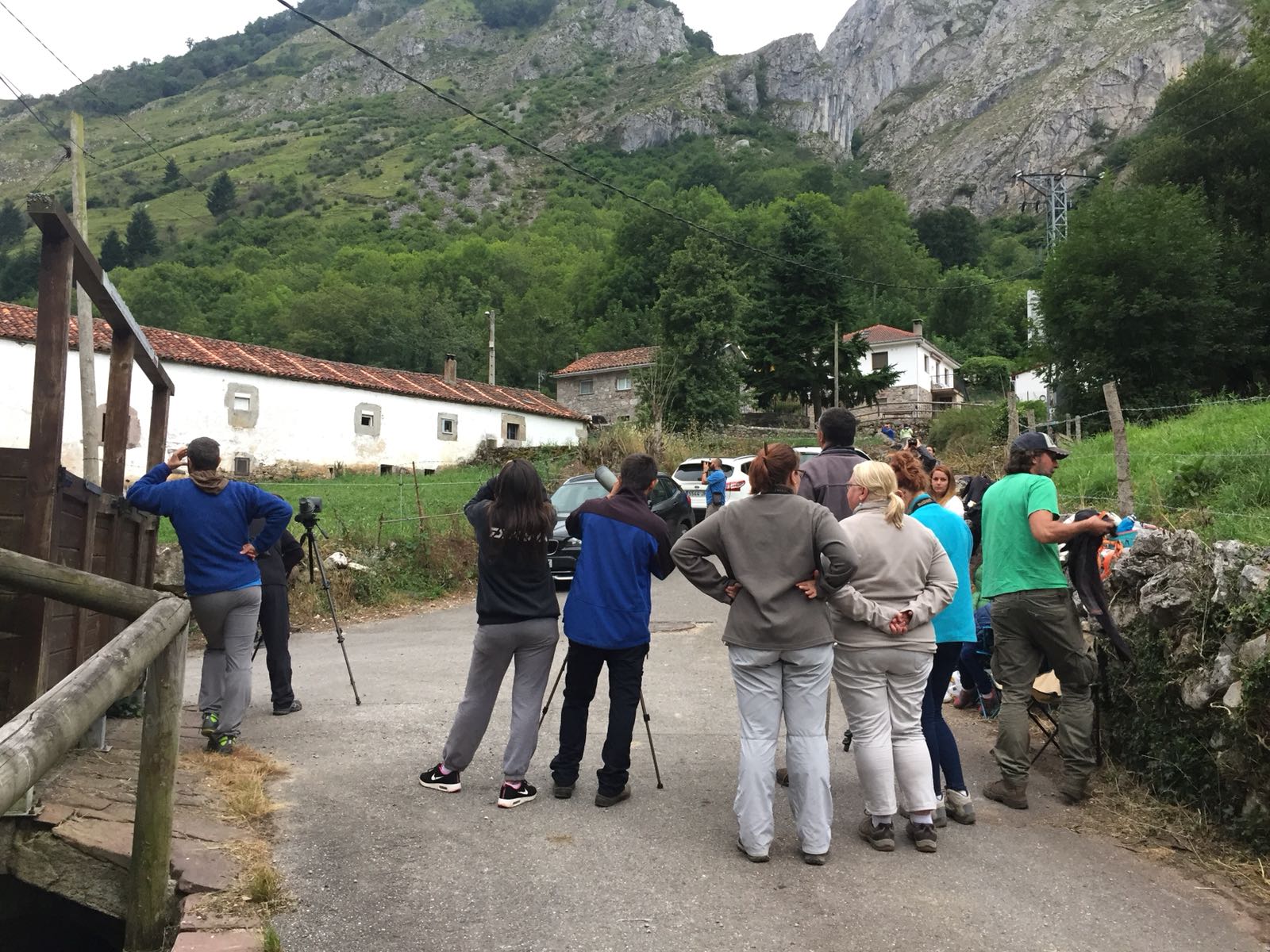 Un proyecto para conocer cuánto se sabe sobre los osos y su conservación